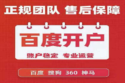 知名SEM公司案例分析：优化策略与成果